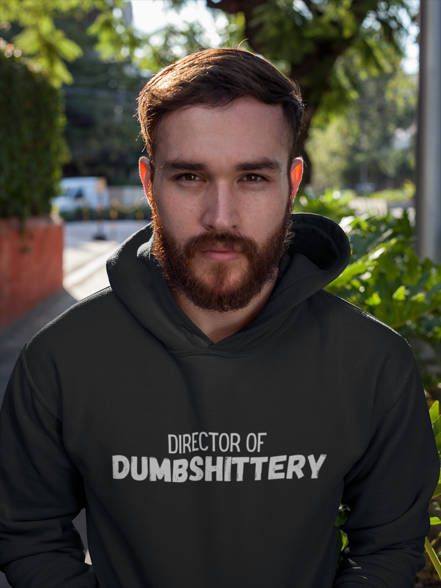 Director of Dumbshittery Hoodie